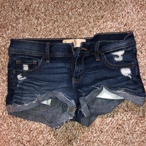 hollister shorts